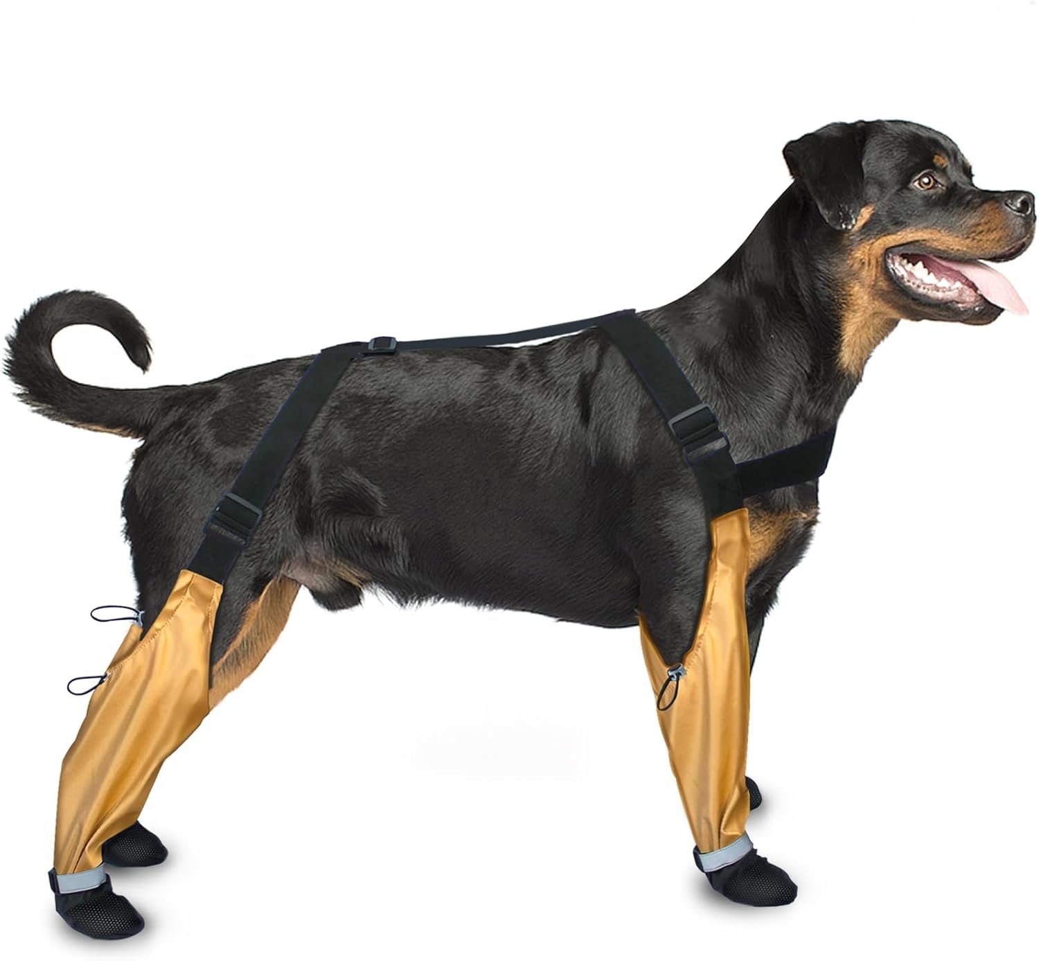 Outdoor Waterproof Dog Boots, Dog Shoes Nonslip for Snow Rain,Dog Paw Protector for All Breeds Dogs, Anti-Slip Dog Shoes with Suspenders, Small Medium Dog Boot for Walking Running Hiking (XS)